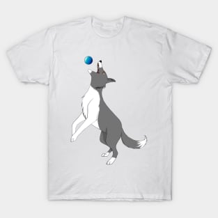 Catch! T-Shirt